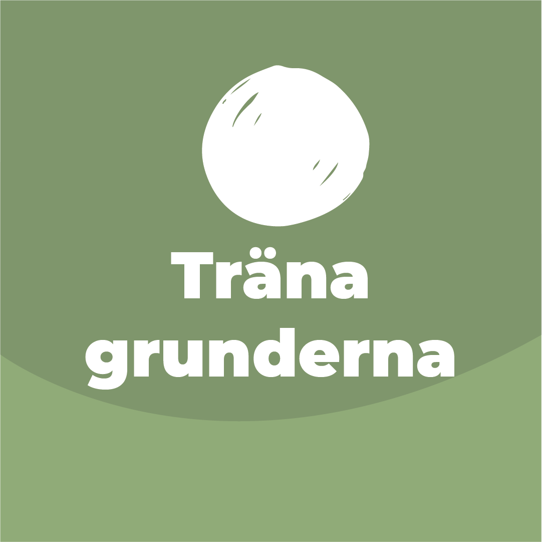 Träna grunderna