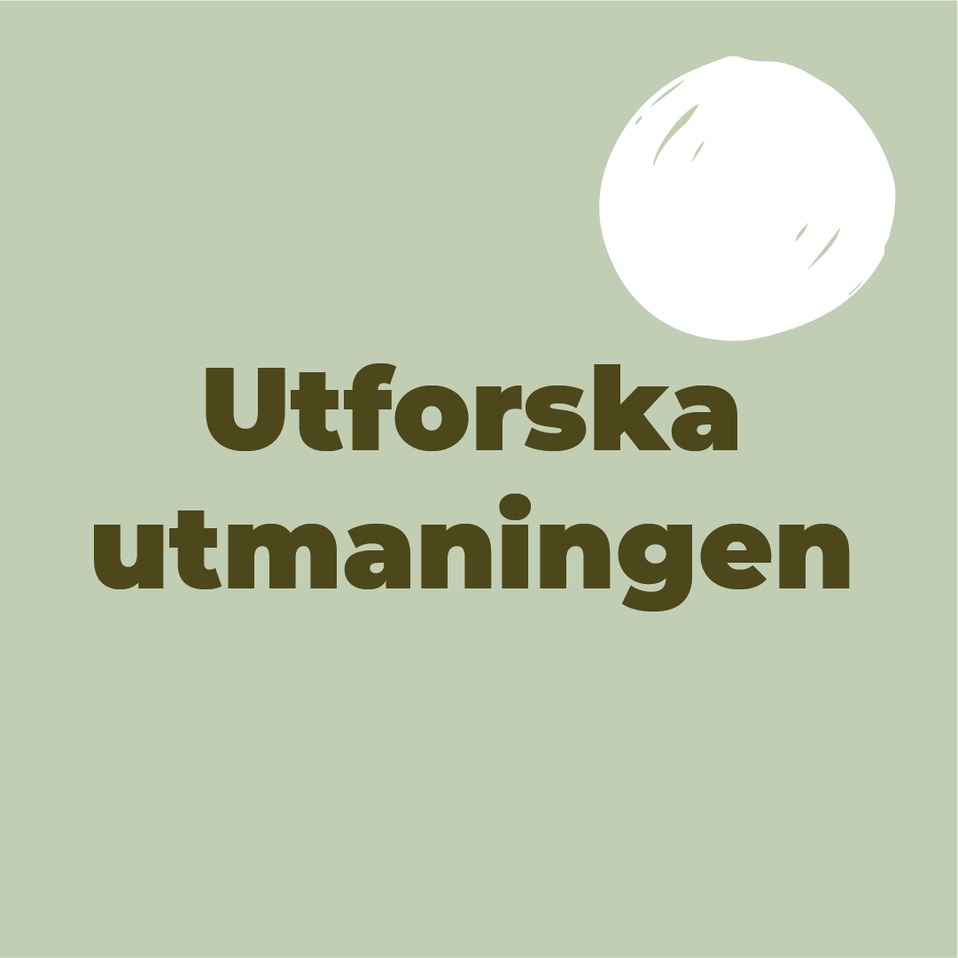 Utforska utmaningen