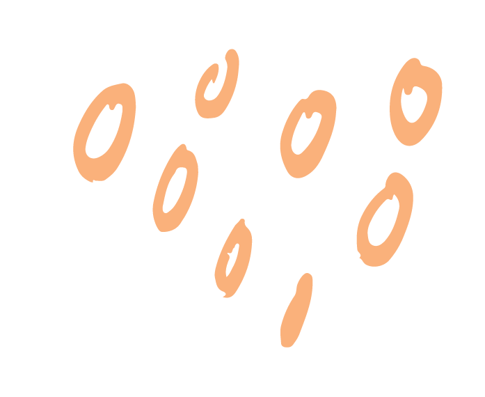 Dekor: Åtta ringar i aprikos färg